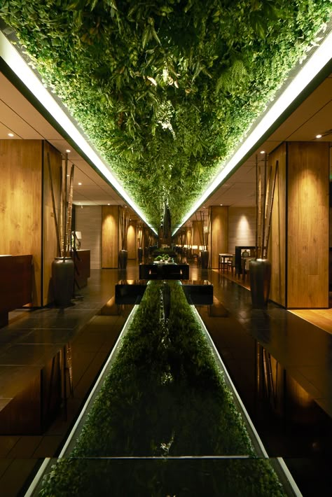 Kirchen Design, Award Design, Hotel Lounge, Wuxi, Hotel Interior Design, Lobby Design, Spa Design, Green Belt, Green Interiors