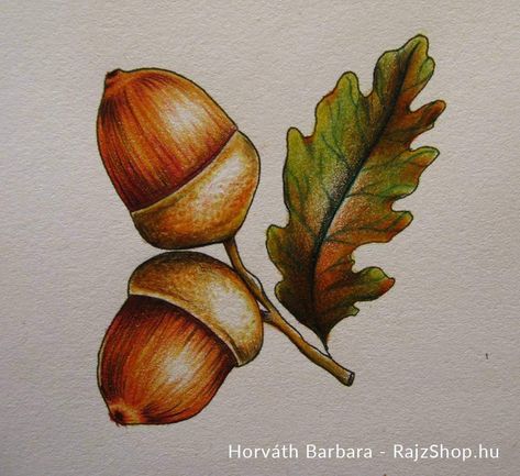 Pencil Drawing Inspiration Sketches, Pencil Drawing Inspiration Easy, Acorns Drawing, Drawing Inspiration Easy, Doodles Pencil, Acorn Drawing, Easy Drawing Step By Step, Easy Pencil Drawings, Pencil Inspiration