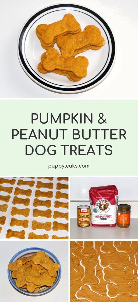 Pumpkin Peanut Butter Dog Treats, Pumpkin And Peanut Butter, Dog Treats Homemade Pumpkin, Pumpkin Peanut Butter, Homemade Dog Cookies, Dog Treat Recipe, Dog Treats Homemade Easy, Easy Dog Treat Recipes, Dog Biscuit Recipes