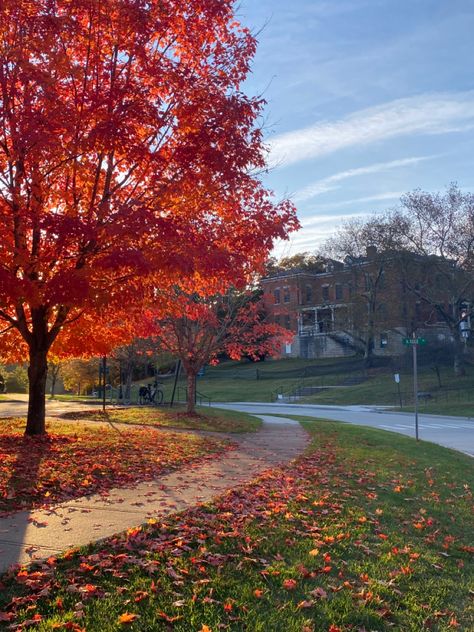 ohio university in autumn Fall In Ohio, Ohio University Aesthetic, Ohio State University Aesthetic, Ohio State Aesthetic, University Ideas, Ohio University Athens, University Aesthetic, Ohio University, Ohio State University