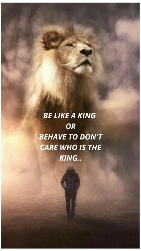 Be like a king Rainy Night Quotes, Dont Care, You Dont Care, Rainy Night, Night Quotes, A King, The King, Like You, Quotes