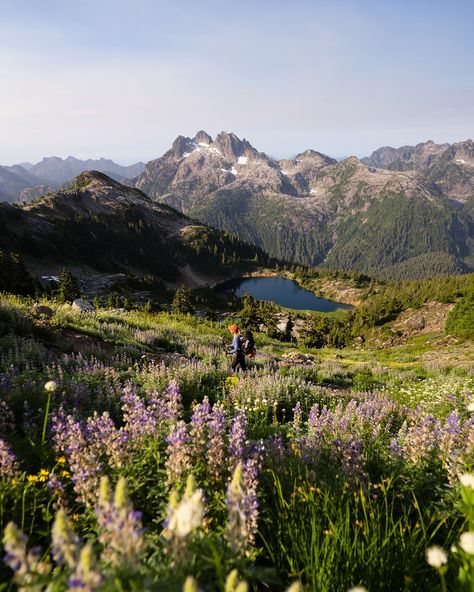 This is what summer looks like in beautiful British Columbia 🩵🏔️ There is no place like the mountains in the western part of Canada 🇨🇦 Sooke Potholes British Columbia, Canada Countryside, British Columbia Aesthetic, British Columbia Mountains, Columbia Country, British Columbia Travel, Mountain Mama, British Columbia Canada, Nature Aesthetic