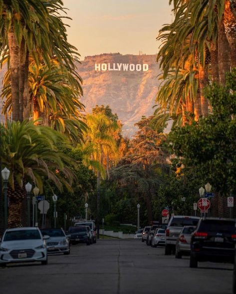 We Love LA on Instagram: “Taken by @jack.dw 📸 For more great photos from around the world, follow: @we.love.los.angeles @we.love.london.uk @we.love.south.korea…” Los Angeles California Photography, Los Angeles Wallpaper, Los Angeles Aesthetic, California Vibe, California Sunset, California Vacation, Los Angeles City, Los Angles, Vintage Los Angeles