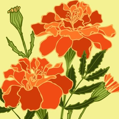 HOLLY HELGESON on Instagram: “Merry Marigolds! Love their vibrant colors! #dailysketch #sketch #sketchbook #illustration #botanical #flowers #marigolds #floral…” Mexican Marigold Art, Marigold Logo, Marigold Flower Drawing, Marigold Illustration, Marigold Drawing, Marigold Painting, Marigold Embroidery, Marigold Art, Sari Ideas