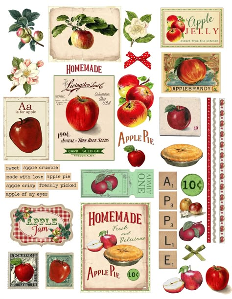 Transform your creative projects with our charming rustic apple clipart, perfect for adding a touch of vintage farmhouse elegance to your decor and junk journals. This instant download offers beautifully detailed illustrations that capture the essence of country living. Ideal for crafters, DIY enthusiasts, and anyone looking to infuse their work with a warm, nostalgic feel. Whether you're designing wall art, scrapbooking, or creating personalized gifts, these unique apple graphics will inspire endless possibilities. Apple Sticker, Farmhouse Rustic Kitchen, Apple Decor, Apple Decorations, Vintage Apple, Scrapbook Stickers Printable, Rustic Kitchen Decor, Apple Crumble, Images Vintage