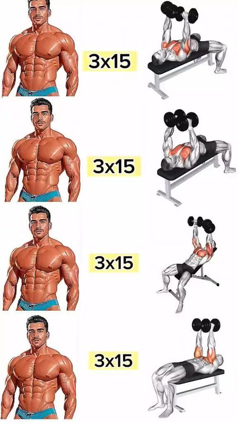 Dumbbell Chest Workout At Home, Tricep Workout Gym, Gym Chest Workout, Upper Body Workout Gym, Dumbbell Back Workout, Dumbbell Chest Workout, Chest And Tricep Workout, Workout Chest, Chest Workout At Home