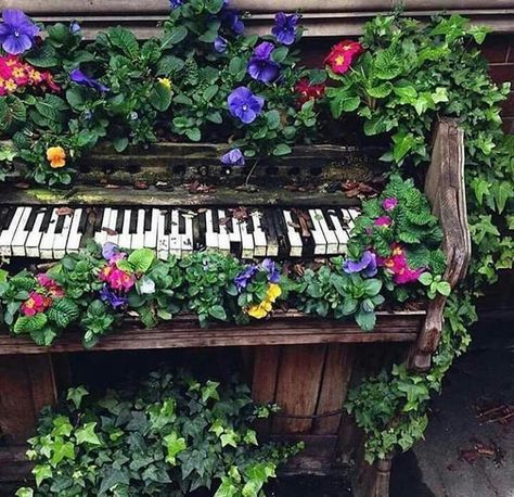 Piano flower bed Emma Core, + Core + Aesthetic, Poses References, Panic At The Disco, Nature Aesthetic, Diy Patio, Goa, Wedding Favor, Cottage Core