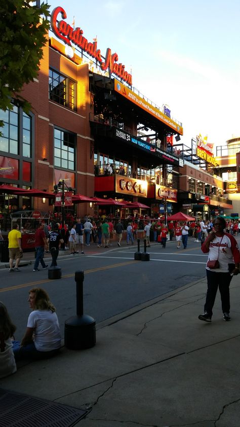 St Louis Missouri Aesthetic, Stl Aesthetic, St. Louis, St Louis Aesthetic, Cookies Photoshoot, Black American Culture, Usa Trip, Stl Cardinals, Vector Portrait