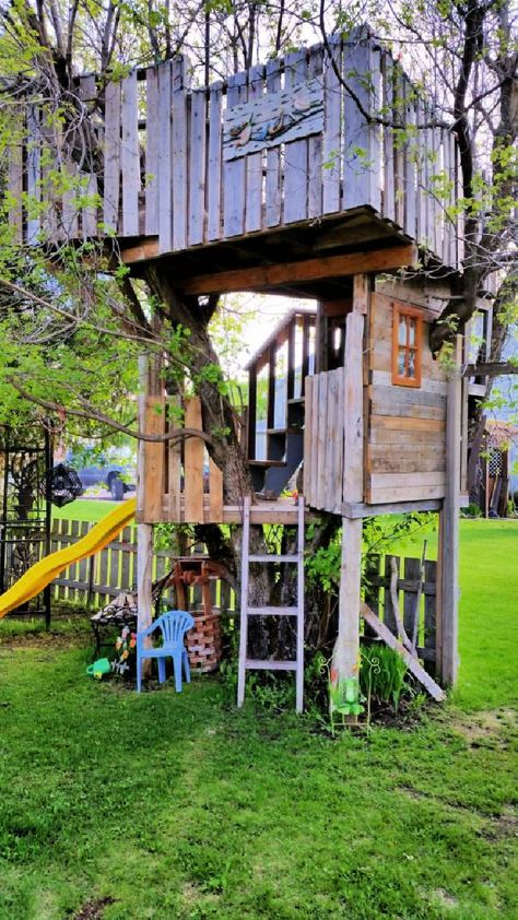 25 Free DIY Tree House Plans and Ideas Treehouse Without Tree, Easy Diy Treehouse, Diy Tree House For Kids, Diy Tree House, Pallet Tree Houses, Diy Treehouse, Backyard Treehouse, Pallet Tree, Beautiful Tree Houses