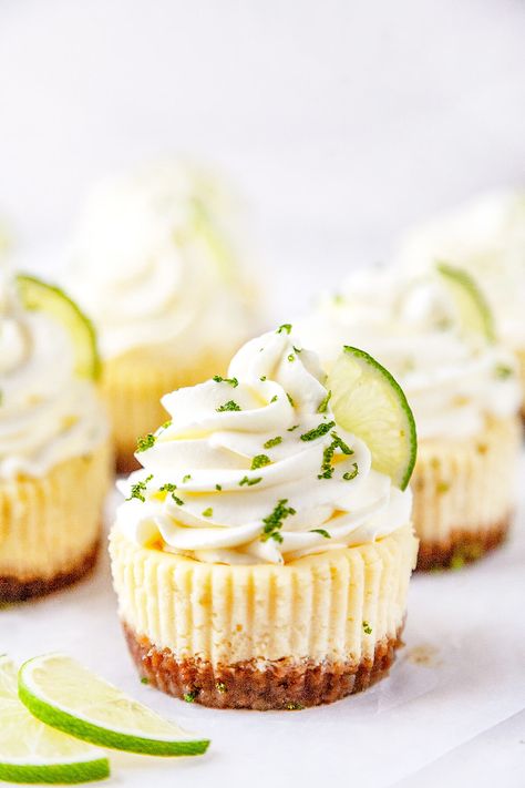 Lime Dessert, Key Lime Desserts, Lime Desserts, Key Lime Cheesecake, Mini Cheesecake Recipes, Cheesecake Mini, Lime Cheesecake, Cheesecake Bites, Mini Cheesecakes