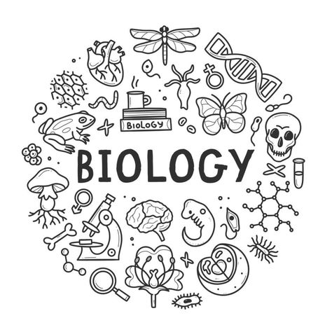 Biology Coloring Book, Biology Related Drawings, Biology Title Page Aesthetic, Science Doodles Biology, Science Stickers Biology, Biology File Cover Decoration, Biology Drawing Ideas, Biology Cover Page, Biology Cover Page Design