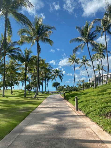 Hawaii Travel Aesthetic, Oahu Hawaii Aesthetic, Amelia Aesthetic, Waikiki Hawaii Beach, Hawaii Summer, Hit Different, Hawaii Life, Waikiki Beach, Honolulu Hawaii