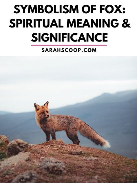 meanings and symbolism of fox in different cultures around the world Fox Meaning, Fox Symbolism, Different Cultures Around The World, Red Meaning, Cultures Around The World, Pagan Gods, Nine Tailed Fox, Norse Pagan, The Afterlife