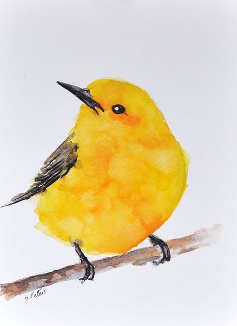 Yellow Warbler, Bird On A Branch, Bird Watercolor Paintings, Block Painting, Watercolor Paintings For Beginners, Bird Tattoo, Roatan, Bird Painting, Yellow Bird