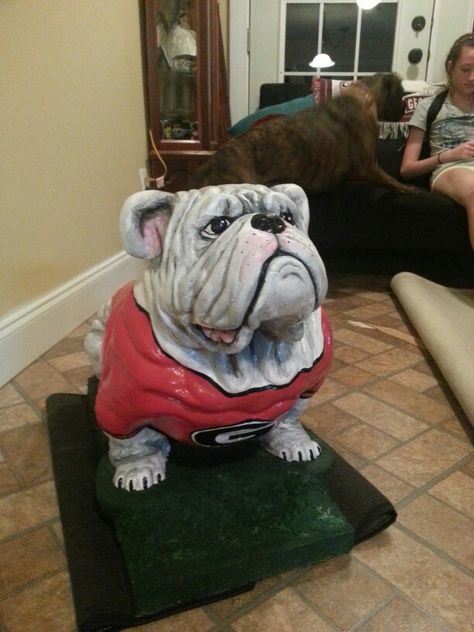 My yard UGA statue created by a good friend...GO DAWGS!!! English Bulldog Statue, Ga Bulldogs, Bulldog Statue, Go Dawgs, A Good Friend, English Bulldog, Front Yard, French Bulldog, Bulldog