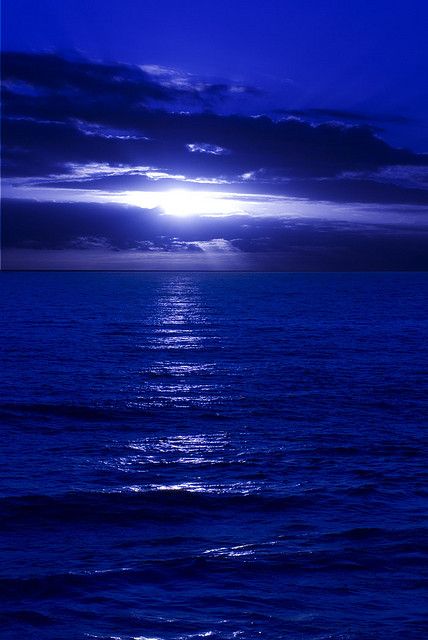 Blue Day Ending | by DarrynSantich Photo Bleu, Blue Aesthetic Dark, Blue Day, Dark Blue Wallpaper, Everything Is Blue, Light Blue Aesthetic, Blue Wallpaper Iphone, Blue Aesthetic Pastel, Blue Pictures