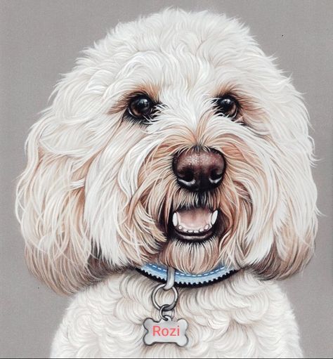 Emily Mei, Dog Pencil Drawing, Dog Portraits Art, Dog Artist, That Smile, Dog Images, Color Pencil Drawing, Dog Drawing, White Dogs