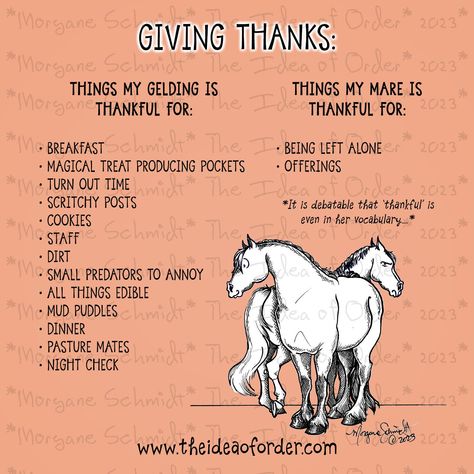 Tomorrow is Thanksgiving. Many of us can list off the things for which we're thankful -- especially with horses in our lives. But what makes our horses give thanks? This edition of The Idea of Order imagines just that... and we think it's pretty darned accurate. Chestnut Mare, Giving Thanks, Old Dutch, Quarter Horse, Give Thanks, The Things, Things To Think About, Thanksgiving, Horses