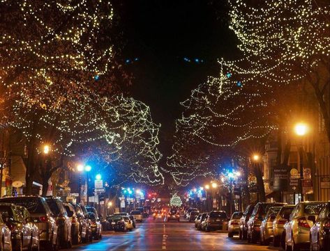 6 Things to do in Frederick Maryland During the Christmas Season! Chincoteague Island, Best Christmas Lights, Frederick Maryland, Fredericksburg Va, Free State, Mormon Temple, Deep Roots, Frederick Md, Happy Things