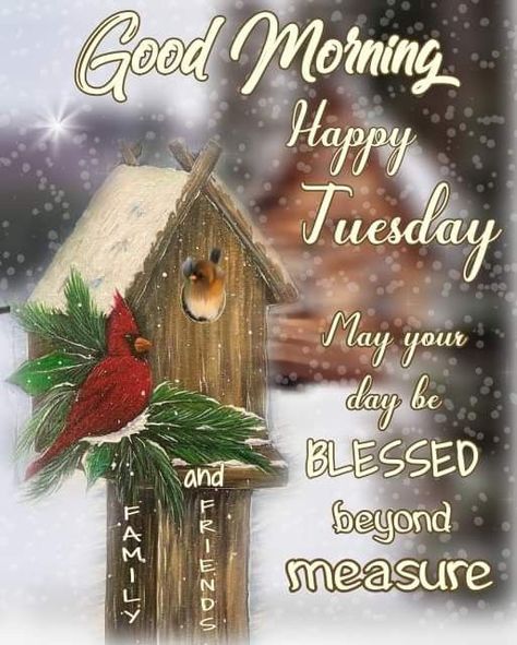 Happy Tuesday Christmas Images, Friday Weekend Quotes, December Tuesday, Christmas Tuesday, Tuesday Morning Wishes, Good Morning Winter Images, Tuesday Christmas, Good Morning Saturday Wishes, Winter Good Morning