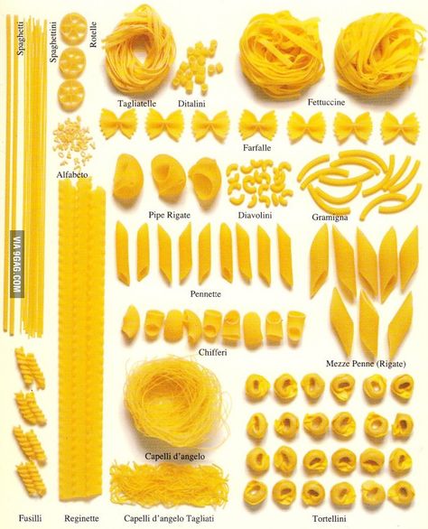 Pasta Types, Pasta Italiana, Pasta Fatta In Casa, Perfect Pasta, Pasta Fresca, Food Info, Cooking Basics, Pasta Noodles, Pasta Shapes