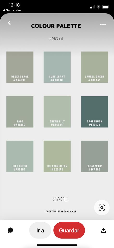 Romantic Wedding Color Schemes, Sage Color Palette, Romantic Wedding Colors, Surf Spray, Concept Photography, Green Palette, Celadon Green, Sage Color, Big Wedding