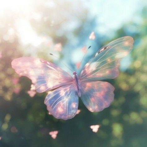 Butterfly Rainbow Aesthetic, Spring Aesthetic Butterfly, Txt Butterfly, Aesthetic Pictures Butterfly, Soft Butterfly Aesthetic, Butterfly Core Aesthetic, Pastel Butterfly Aesthetic, Butterfly Girl Aesthetic, Butterfly Icon Aesthetic