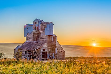 Palouse | Eastern Washington | Scenic Road Trips Palouse Washington, The Palouse, Washington State Travel, Usa Destinations, Fall Road Trip, Eastern Washington, Child Of The Universe, Scenic Road Trip, Washington State University