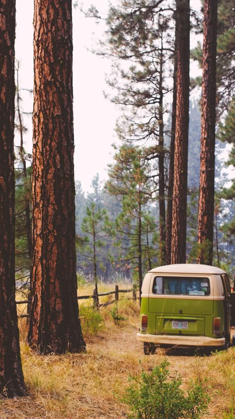 30+ Summer Aesthetic Wallpapers - A Vintage wallpaper image Travelling Inspiration, Road Trip Checklist, Caravan Vintage, Camping Images, Trout Lake, Volkswagen Van, Combi Volkswagen, Green Vans, Camping Aesthetic