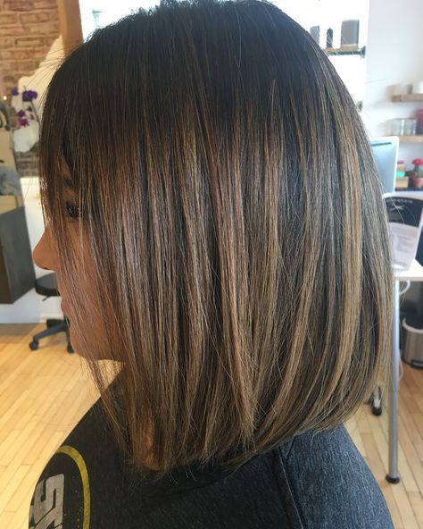 Short Bob Balayage Brunettes, Medium Brunette Haircut, Balayage For Dark Brown Hair Short, Bayalage Bob, Brunette Bayalage, Hair Inspo Hairstyles, Inspo Hairstyles, Beautiful Brunette, Highlights Hair