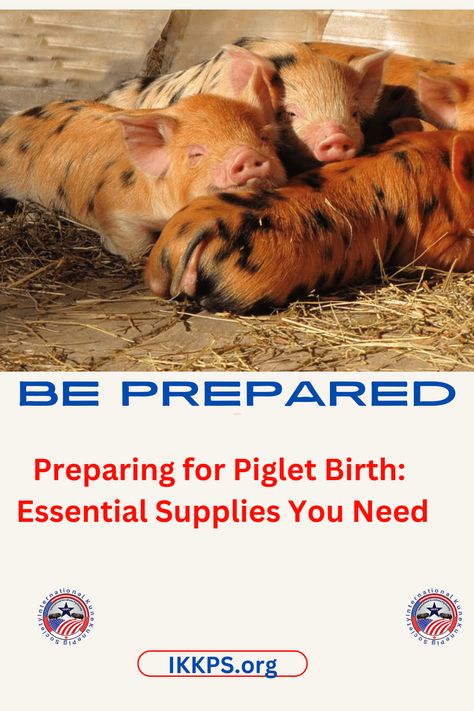 Proper Hygiene, Pig Farming, Heat Lamps, Goat Farming, Very Scary, New Environment, Golden Rule, First Time Moms, Be Prepared