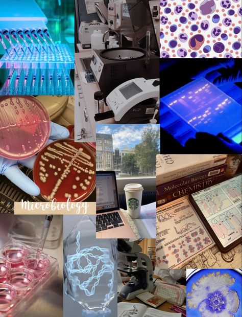 Microbiology, study, science, bacteria Micro Biology Aesthetic, Microbiology Lab Aesthetic, Microbiology Aesthetic, Micro Biology, Clinical Microbiology, Medical Microbiology, Medical Laboratory Science Student, Microbiology Study, Study Science