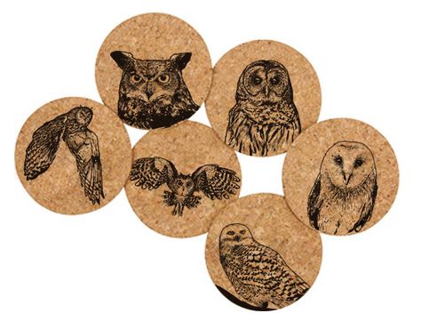 Hooters - magnificently illustrated majestic Owls- learn all about them on the backs. Long Eared Owl, Owl Images, Wooden Cup, Screech Owl, Barred Owl, Super Sets, Coaster Sets, Bar Essentials, Great Horned Owl