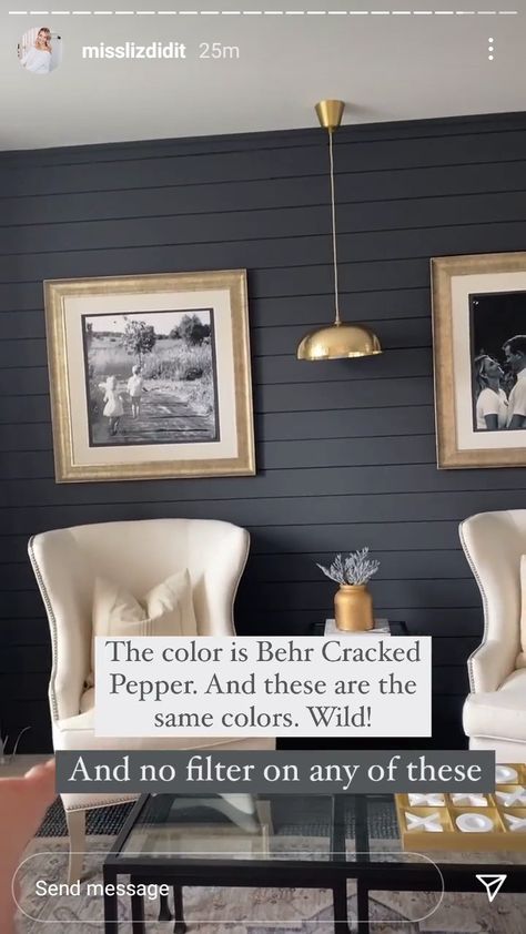 Behr Cracked Pepper Accent Wall, Cracked Pepper Behr Paint Accent Wall, Dark Accent Wall Colors, Cracked Pepper Behr, Grey Exterior House, Man Cave Paintings, Grey Exterior House Colors, Dark Accent Walls, Office Paint Colors