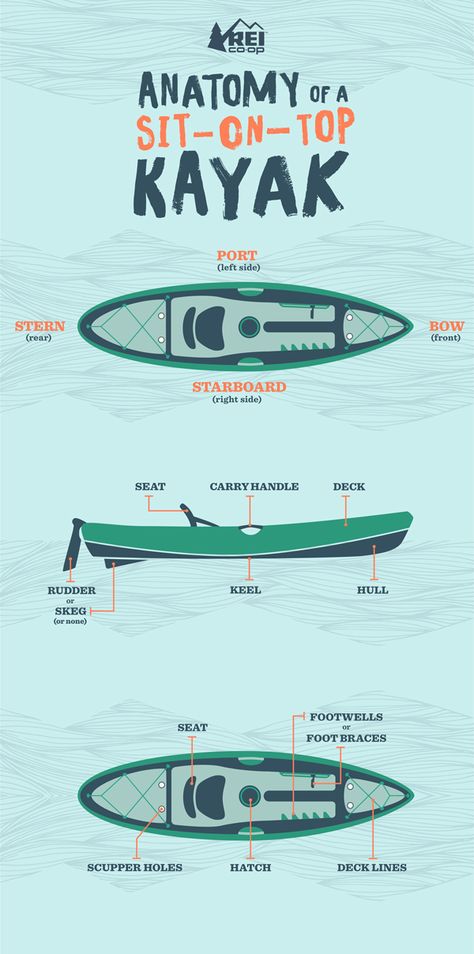 The names of many sit-on-top kayak parts are easily understood; others, not so much. Our handy visual guide shows you what’s what and what’s where. Sit On Top Kayak, Kayak Bass Fishing, Kayak Fishing Accessories, Fishing Hacks, Sit On Kayak, White Water Kayak, Kayaking Tips, Kayak Camping, Kayak Accessories