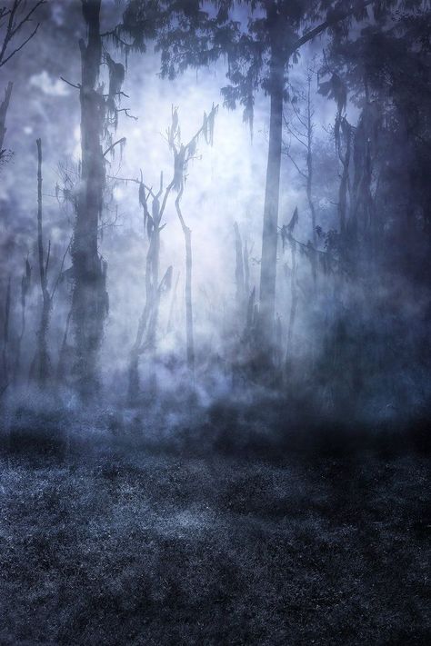 Wattpad Cover Background, Book Cover Background, Haunted Woods, Pink Clouds Wallpaper, Wattpad Background, Normal Wallpaper, Book Cover Design Inspiration, Book Cover Template, Wattpad Book Covers