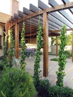 Top 60 Best Pergola Ideas - Backyard Splendor In The Shade Ombra Pergola, Corner Pergola, Small Pergola, Pergola Diy, Cheap Pergola, Pergola Swing, Pergola Ideas, Modern Pergola, Metal Pergola