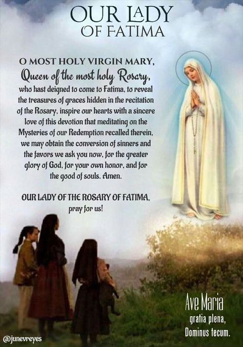 Mother Mary Prayer, Mother Mary Quotes, Praying The Rosary Catholic, Rosary Prayers, Fatima Prayer, Blessed Mary, Novena Prayers, Everyday Prayers, Spiritual Prayers