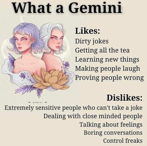 Libra X Gemini, Capricorn And Gemini, Gemini Things, Gemini Stuff, Zodiak Gemini, Gemini Zodiac Quotes, All About Gemini, Gemini Personality, Gemini Traits