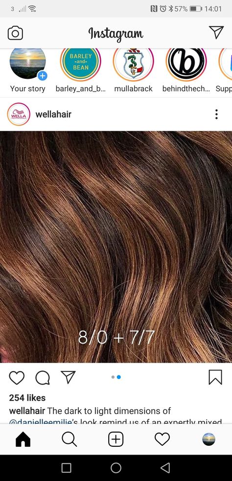 Wella Formulas Caramel, Wella Balayage Formula, Wella Hair Color Chart Brown, Wella Formulas Brown, Wella Caramel Toner Formula, Caramel Hair Color Formula, Wella Color Formulas Brown, Balayage Formulas, Wella Formulas