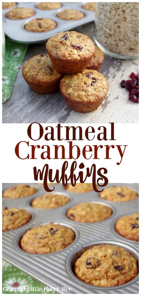 Want a quick and healthy breakfast? Try these super easy and delicous Oatmeal Cranberry Muffins that your family is sure to love on gracefulittlehoneybee.com #breakfast #muffin #muffins #healthy #cranberry #oatmeal Oatmeal Cranberry Muffins, Breakfast Muffins Healthy, Cranberry Oatmeal Muffins, Quick And Healthy Breakfast, Cranberry Oatmeal, Breakfast Recipes Easy Quick, Breakfast Muffin, Muffins Healthy, Healthy Breakfast Muffins