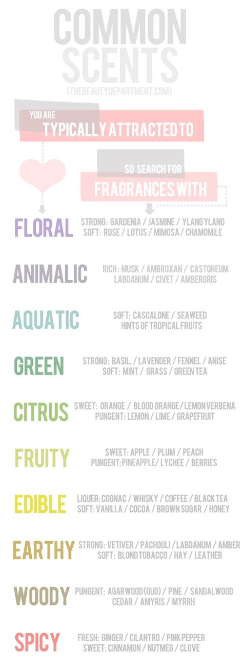 Do you know your fragrance families? It helps a lot when trying to find a new perfume or oil. Beauty Infographic, Perfume Versace, Fragrance Packaging, Diy Perfume, Summer Fragrance, Sales People, The Beauty Department, Luxury Fragrance, Aftershave