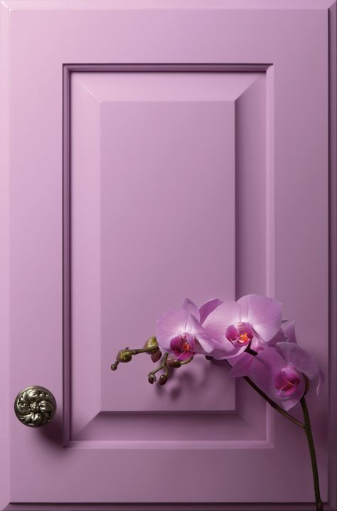 Orchid Paint Color, Orchid Color Wallpaper, Orchid Color Aesthetic, Orchid Pink Color, Mauve Color Palette, Golden Bachelor, Purple Cabinets, Beautiful Kitchen Cabinets, Bathroom Accent Wall