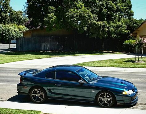 Sn95 Mustang Convertible, Sn95 Mustang Gt, 1995 Ford Mustang Gt, Sn95 Mustang, New Edge Mustang, Fox Body Mustang, Corvette C5, Mustang Cobra, Mustang Convertible