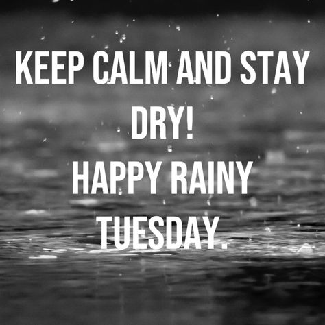 Rainy Tuesday Mornings, Tuesday Morning Quotes, Rainy Tuesday, Tuesday Quotes Good Morning, Tuesday Greetings, Morning Tuesday, Good Morning Tuesday, Daily Greetings, Tuesday Quotes