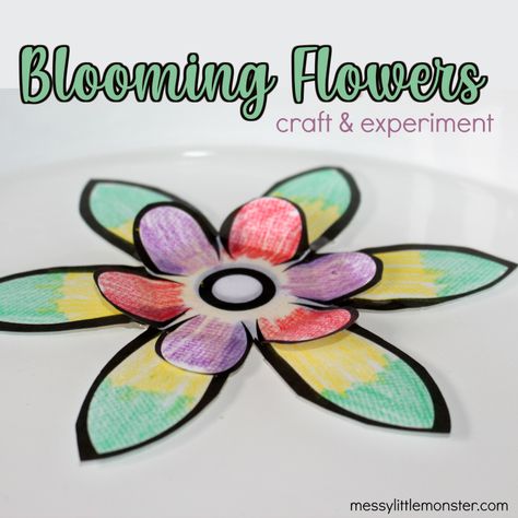 Kids will love the bright colours and magical aspect to these blooming paper flowers. Not only are they fun and easy to make using our magic blooming flower template, the paper flowers actual open right in front of your eyes! This time of year is perfect for a flower craft or two and I can guarantee you will get a few WOW's with this magic paper flower trick. It's such a fun science experiment and craft in one! Stellar Vbs, Vbs Craft, Flower Templates Printable, Paper Party Decorations, Origami For Beginners, Origami Rose, Flowers Craft, Paper Flower Crafts, Flower Craft