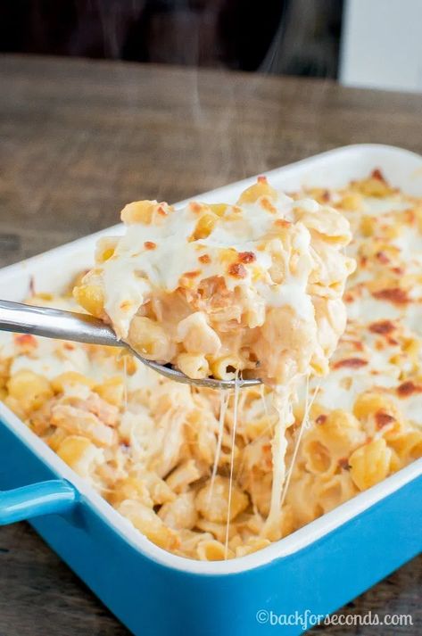 Buffalo Chicken Alfredo Bake Buffalo Chicken Alfredo, Chicken Alfredo Bake Recipe, Alfredo Pasta Bake, Baked Chicken Alfredo Pasta, Alfredo Casserole, Chicken Alfredo Casserole, Alfredo Bake, Chicken Alfredo Bake, Buffalo Chicken Pasta