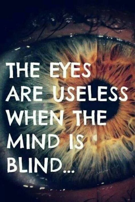 Dont be blinded by stupidity. Quotable Quotes, Rumi, True Words, Beautiful Quotes, The Words, The Mind, Great Quotes, Beautiful Words, Inspirational Words