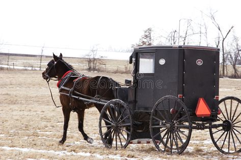 Draft Horse Carriage, Horse And Buggy Carriage, Amish Horse And Buggy, Indian Horse Carriage, Horse Cart, Victorian Horse And Carriage, New Orleans Horse Carriage, Horse And Buggy, Horse Carriage