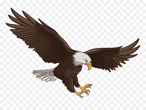 Cartoon Eagle, Eagle Cartoon, Eagle Flying, Eagle Vector, Bald Eagle, Vector Graphics, Royalty, Royalty Free, Quick Saves